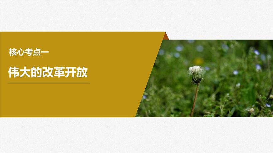 新高考政治一輪復(fù)習(xí)講義課件必修1第3課只有中國(guó)特色社會(huì)主義才能發(fā)展中國(guó)（含解析）第6頁(yè)