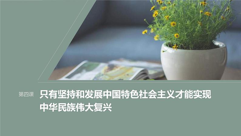 新高考政治一轮复习讲义课件必修1第4课课时1新时代的主要矛盾与奋斗目标(含解析)01