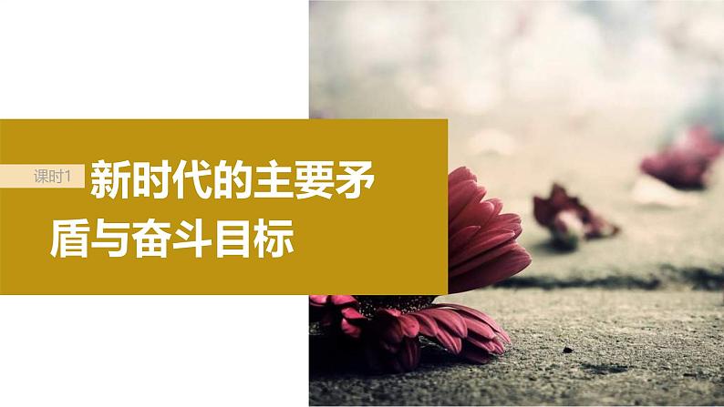 新高考政治一轮复习讲义课件必修1第4课课时1新时代的主要矛盾与奋斗目标(含解析)06
