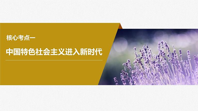 新高考政治一轮复习讲义课件必修1第4课课时1新时代的主要矛盾与奋斗目标(含解析)08