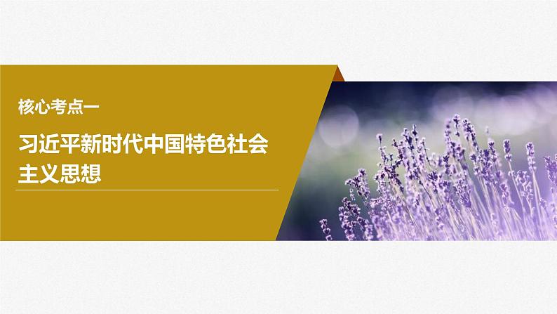 新高考政治一轮复习讲义课件必修1第4课课时2习近平新时代中国特色社会主义思想(含解析)第4页