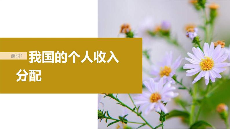 新高考政治一轮复习讲义课件必修2第8课课时1我国的个人收入分配(含解析)第5页