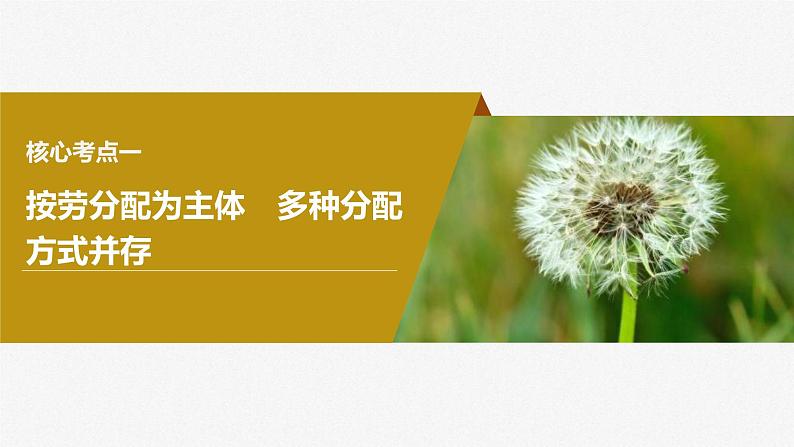 新高考政治一轮复习讲义课件必修2第8课课时1我国的个人收入分配(含解析)第7页