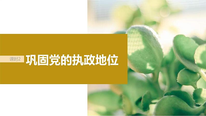 新高考政治一轮复习讲义课件必修3第11课课时2巩固党的执政地位(含解析)02