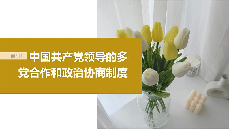 新高考政治一轮复习讲义课件必修3第14课课时1中国共产党领导的多党合作和政治协商制度(含解析)05