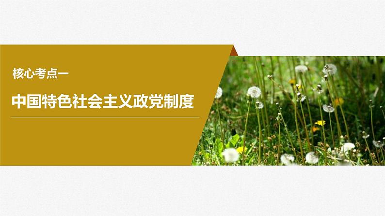 新高考政治一轮复习讲义课件必修3第14课课时1中国共产党领导的多党合作和政治协商制度(含解析)07