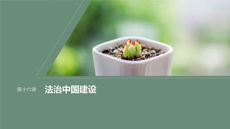 新高考政治一轮复习讲义课件必修3第16课课时1法治国家与法治社会(含解析)第1页