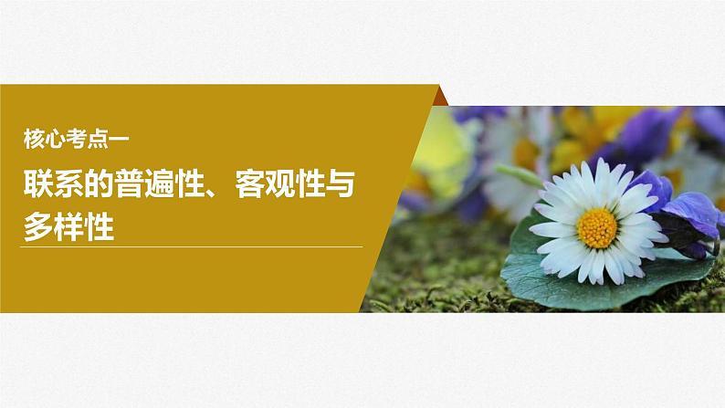 新高考政治一轮复习讲义课件必修4第20课课时1世界是普遍联系的(含解析)08