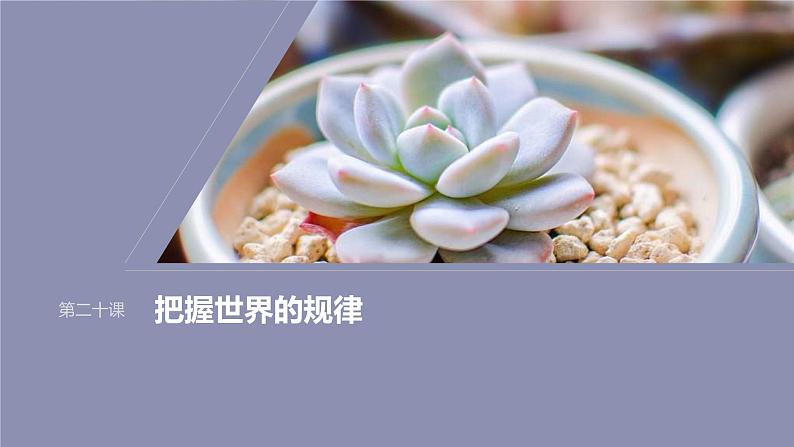 新高考政治一轮复习讲义课件必修4第20课课时2世界是永恒发展的(含解析)第1页