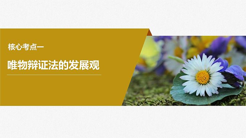 新高考政治一轮复习讲义课件必修4第20课课时2世界是永恒发展的(含解析)第4页