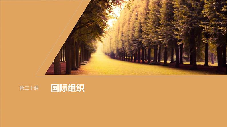 新高考政治一轮复习讲义课件选择性必修1第310课课时2区域性国际组织和新兴国际组织(含解析)01