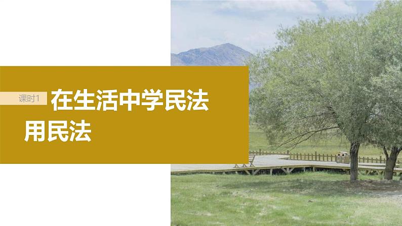 新高考政治一轮复习讲义课件选择性必修2第311课课时1在生活中学民法用民法(含解析)第5页