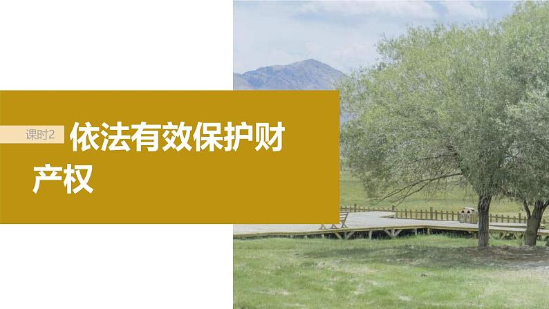 新高考政治一轮复习讲义课件选择性必修2第311课课时2依法有效保护财产权(含解析)第2页