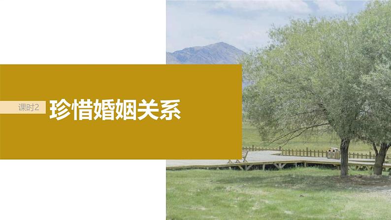 新高考政治一轮复习讲义课件选择性必修2第312课课时2珍惜婚姻关系(含解析)第2页