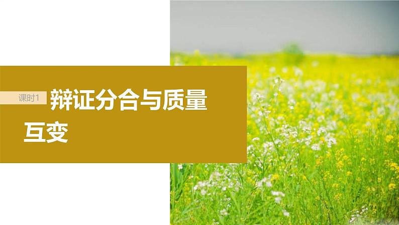 新高考政治一轮复习讲义课件选择性必修3第317课课时1辩证分合与质量互变(含解析)第5页