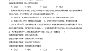高中人教统编版更好发挥政府作用综合训练题