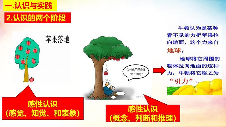 4.1 人的认识从何而来课件 高二政治 哲学与文化 统编版必修406