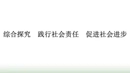 人教版高中思想政治必修2综合探究践行社会责任促进社会进步课件