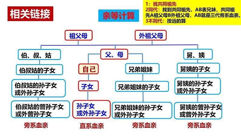 6.1 法律保护下的婚姻 课件-2023-2024学年高中政治统编版选择性必修二法律与生活第8页