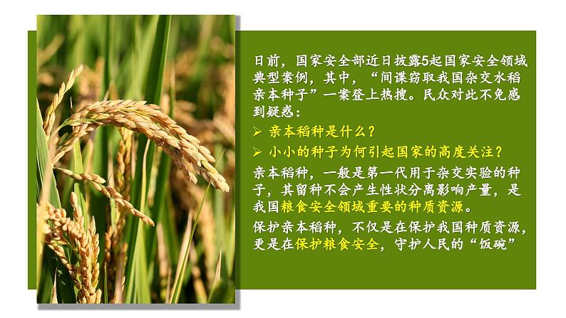 5.2 社会历史的发展 课件-2024-2025学年高中政治统编版必修四哲学与文化第2页