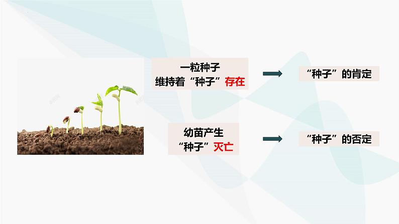 10.1 不作简单肯定或否定 课件-2024-2025学年高中政治统编版选择性必修三逻辑与思维第5页