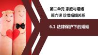 高中政治 (道德与法治)法律保护下的婚姻课文配套课件ppt