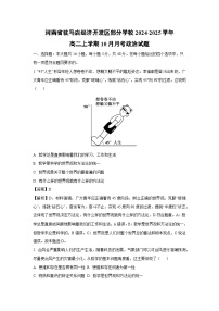 河南省驻马店经济开发区部分学校2024-2025学年高二上学期10月月考政治政治试题（解析版）