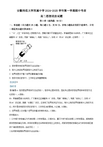 安徽省蕪湖市師范大學(xué)附屬中學(xué)2024-2025學(xué)年高二上學(xué)期期中考試政治試題（Word版附解析）