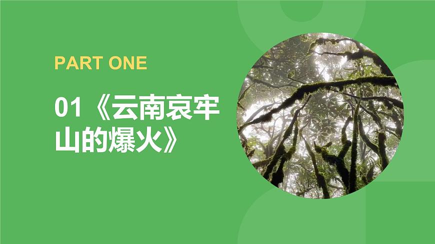 時政熱點專題：云南哀牢山、山花爛漫時等課件-2025屆高考政治一輪復習統(tǒng)編版第3頁