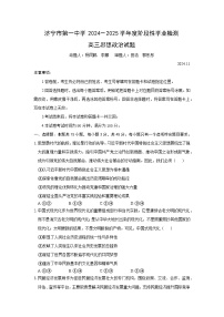 山东省济宁市第一中学2024-2025学年高三上学期11月期中考试政治试题