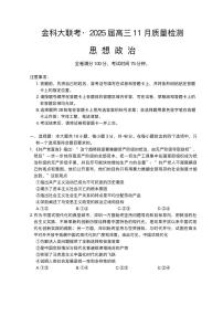 河南省金科新未来大联考2024-2025学年高三上学期11月政治试题+答案