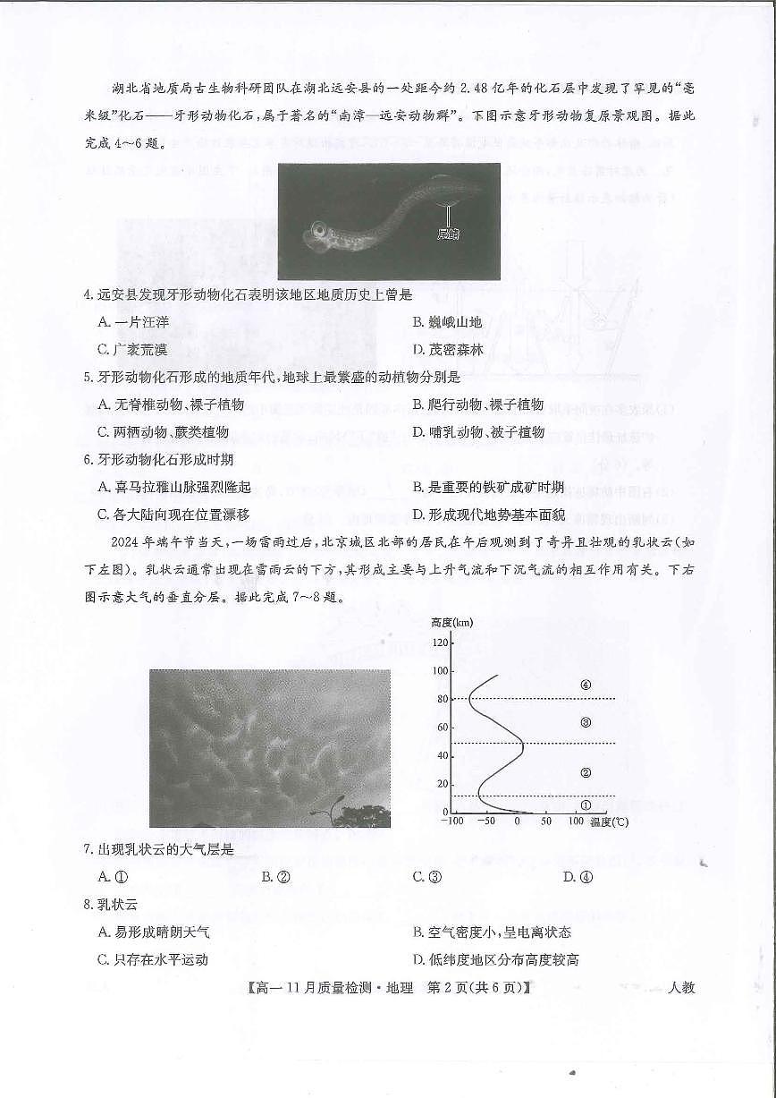 河南省九師聯(lián)考2024-2025學(xué)年高一上學(xué)期11月期中考試地理PDF版含解析第2頁