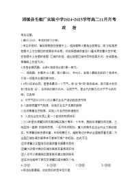 安徽省蚌埠市固镇县毛钽厂实验中学2024-2025学年高二上学期11月月考政治试题