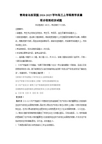 2024~2025學(xué)年青海省名校聯(lián)盟高三(上)教學(xué)質(zhì)量聯(lián)合檢測政治試卷(解析版)