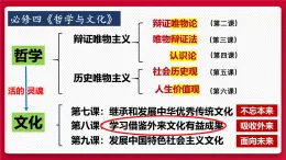 8.1 文化的民族性与多样性（课件） - 高中政治统编版四哲学与文化