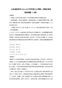 山东省泰安市2024-2025学年高三(上)1月期末考试（A卷）政治试卷（解析版）