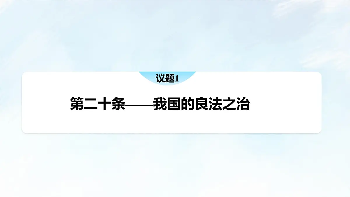8.1 法治国家 课件-2024-2025学年统编版高中政治必修三政治与法治第6页