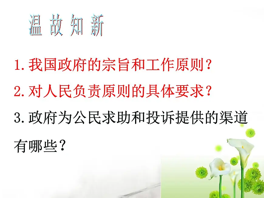 人教版 (新课标)高中政治 必修2 2-4-1《政府的权力:依法行使》课件第2页