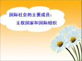 人教版 (新课标)高中政治必修2 4-9-1《国际社会的主要成员：主权国家和国际组织》新课讲知课件