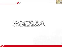 人教版 (新课标)文化塑造人生课文课件ppt