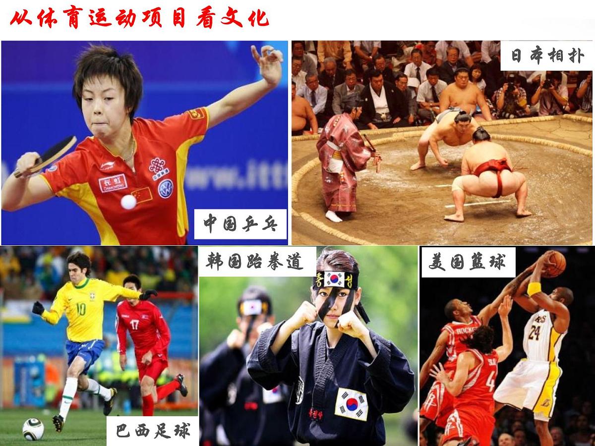 人教版 (新课标)高中政治必修3 2-3-1《世界文化的多样性》课件第4页