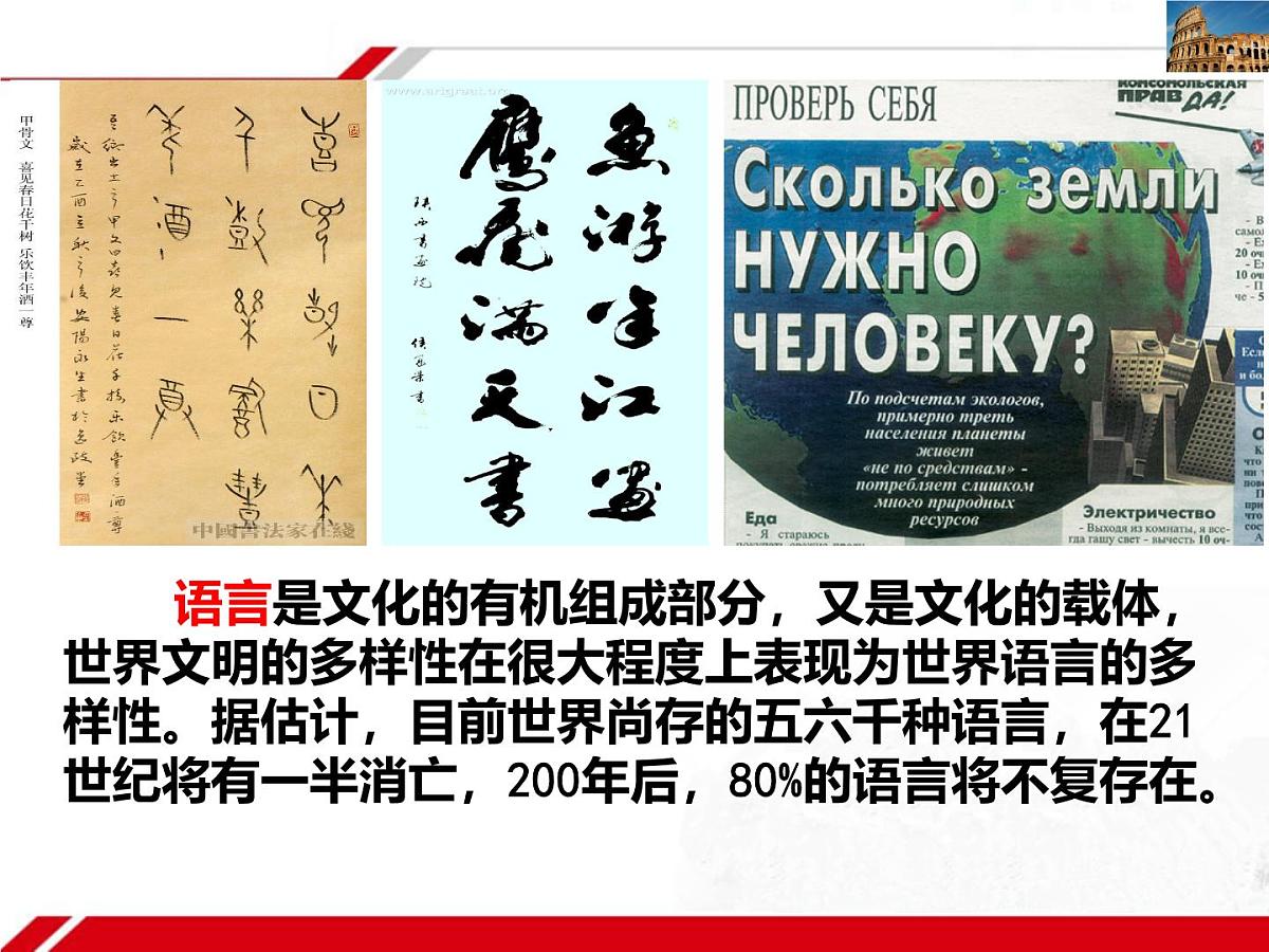 人教版 (新课标)高中政治必修3 2-3-1《世界文化的多样性》新课讲知课件第7页