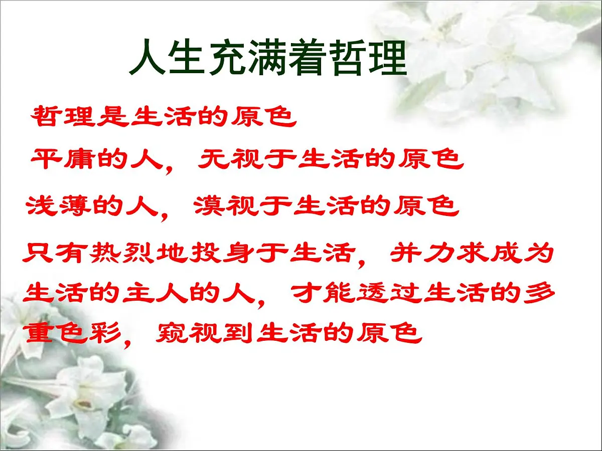 人教版 (新课标)高中政治必修4 第一单元《综合探究__走进哲学问辩人生》课件第6页