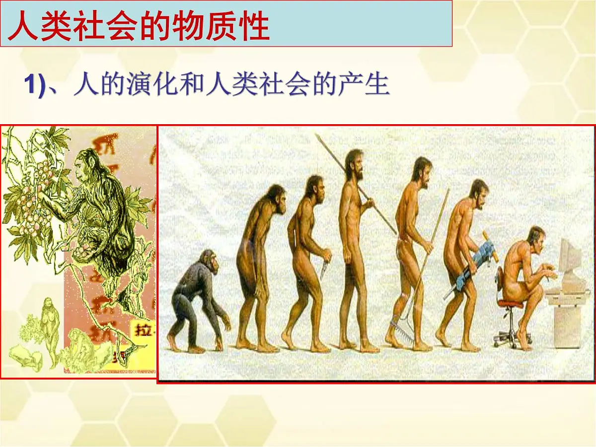 人教版 (新课标)高中政治必修4 2-4-1课件-《世界的物质性》第5页