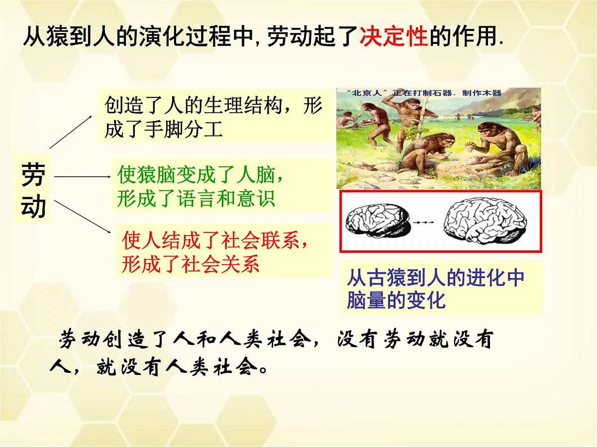 人教版 (新课标)高中政治必修4 2-4-1课件-《世界的物质性》第6页