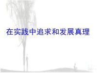 人教版 (新课标)必修4 生活与哲学在实践中追求和发展真理课文内容课件ppt