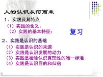 人教版 (新课标)必修4 生活与哲学在实践中追求和发展真理图片ppt课件
