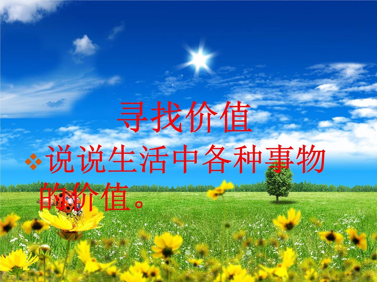 人教版 (新课标)高中政治必修4 4-12-1《价值与价值观》课件第3页