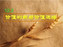 人教版 (新课标)必修4 生活与哲学价值判断与价值选择授课课件ppt