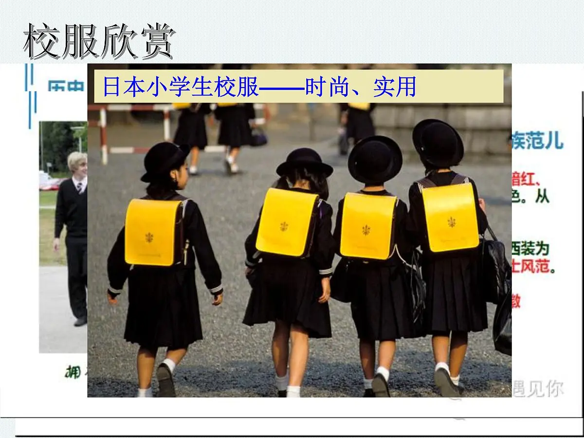 人教版 (新课标)高中政治必修4 4-12-2课件-《价值判断与价值选择》第8页
